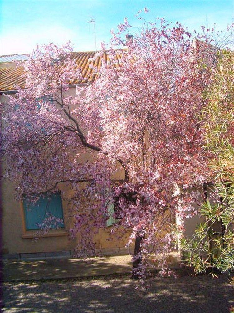 Cit'Hotel Hotel Las Cigalas Villeneuve-les-Beziers Exterior foto